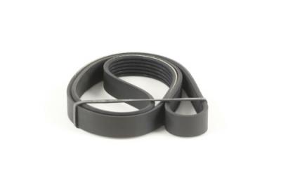 DAYCO Courroie trap&eacute;zo&iuml;dale a nervures  6PK1152