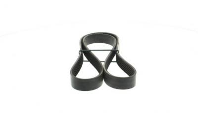 DAYCO Courroie trap&eacute;zo&iuml;dale &agrave; nervures  6PK1173