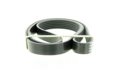 DAYCO Courroie trap&eacute;zo&iuml;dale &agrave; nervures  6PK1341