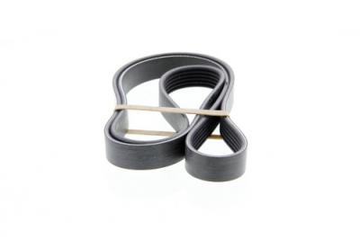 DAYCO Courroie trap&eacute;zo&iuml;dale a nervures  6PK1510