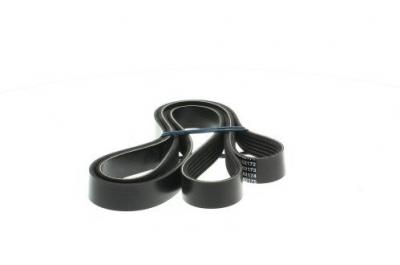 DAYCO Courroie trap&eacute;zo&iuml;dale a nervures  6PK1660