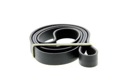 DAYCO Courroie trap&eacute;zo&iuml;dale a nervures  6PK1692