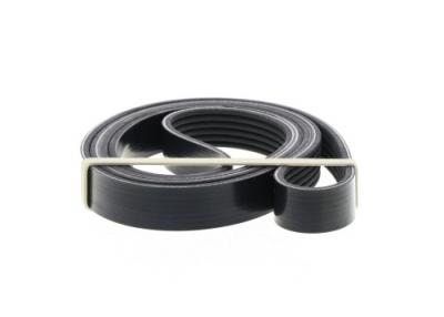 DAYCO Courroie trap&eacute;zo&iuml;dale &agrave; nervures  6PK1725