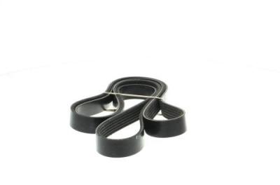 DAYCO Courroie trap&eacute;zo&iuml;dale &agrave; nervures  6PK1765