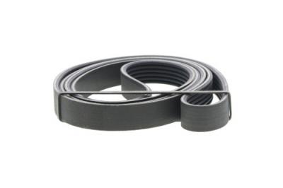 DAYCO Courroie trap&eacute;zo&iuml;dale a nervures  6PK1873