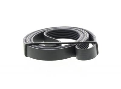 DAYCO Courroie trap&eacute;zo&iuml;dale &agrave; nervures  6PK1904