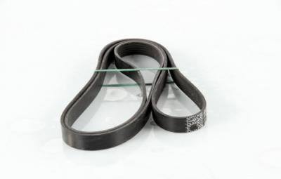 DAYCO Courroie trap&eacute;zo&iuml;dale &agrave; nervures  6PK2000