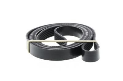 DAYCO Courroie trap&eacute;zo&iuml;dale &agrave; nervures  6PK2425