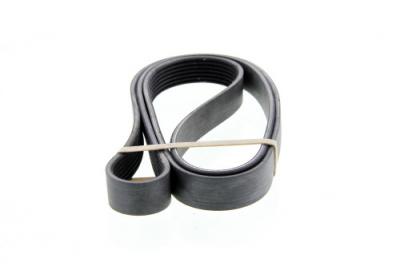 DAYCO Courroie trap&eacute;zo&iuml;dale &agrave; nervures  7PK1790