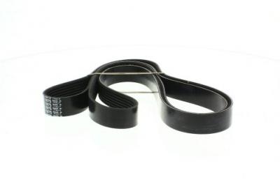 DAYCO Courroie trap&eacute;zo&iuml;dale &agrave; nervures  7PK1975