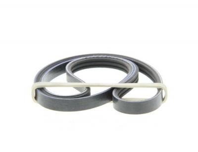 GATES Courroie trap&eacute;zo&iuml;dale &agrave; nervures Micro-V&reg; 3PK890 