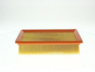 MANN FILTER MANN-FILTER Filtre &agrave; Air C 25 100 &ndash; Pour v&eacute;hicule particulier
