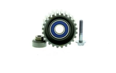 SKF Poulie renvoi/transmission courroie de distribution VKM 22390 