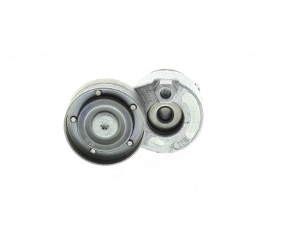SKF  Galet tendeur (courroie d'accessoire) VKM 36069 OPEL VIVARO