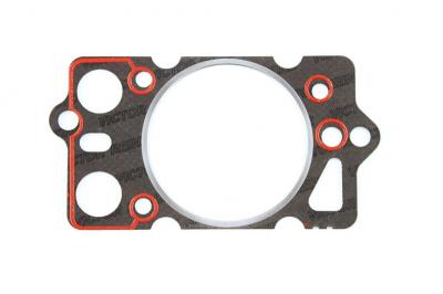 REINZ Joint d&eacute;tanch&eacute;it&eacute; culasse 61-35410-10 Viktor 