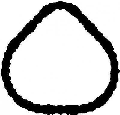 AJUSA Joint d'&eacute;tanch&eacute;it&eacute; de collecteur d'admission  13171400