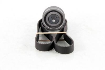 SKF  Kit de distribution VKMA 01021 VOLKSWAGEN GOLF