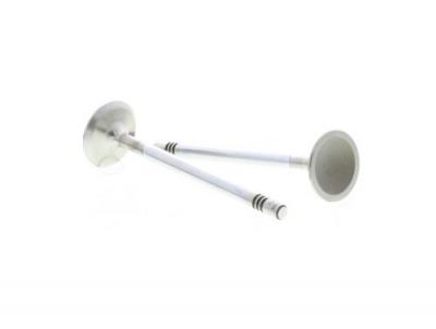 CORTECO  Soupape d'admission pour FIAT: Palio, Doblo, Stilo, Punto, Siena, Marea, Brava, Idea, Strada, Bravo, Albea & LANCIA: Ypsilon (Ref: 554000B)