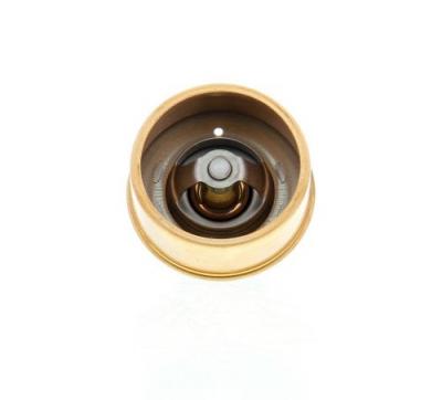 VALEO Thermostat/calorstat  819856 (X1)