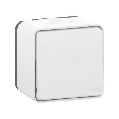 SCHNEIDER ELECTRIC  SC5SHN0212460 Va et Vient mureva Styl 250 V, Blanc