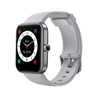  Montre connect&eacute;e SMARTY ALEXA SMARTY 2.0 Acier inoxydable Gris 