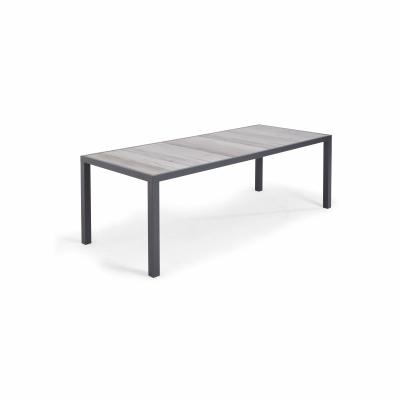 OVIALA Table de jardin en aluminium et c&eacute;ramique 10 places effet bois gris&eacute;