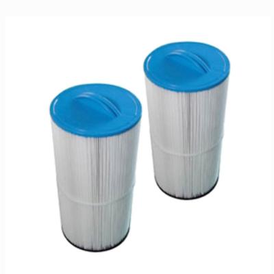 FILTRINOV Cartouches filtrantes pour piscine  MX18 et MX25 x2 - Gris