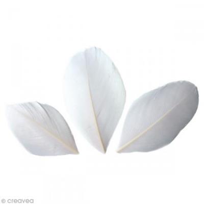 GRAINE CREATIVE Graines Cr&eacute;atives Plumes Blanches 6 cm