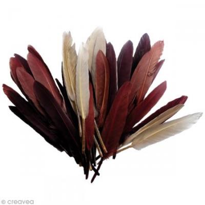 GRAINE CREATIVE Plumes d'indien camaieu chocolat sachet 10g 15cm - graine cr&eacute;ative