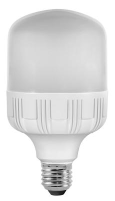 LIGHTFOX Fox Light - Ampoule led- haute puissance E27 30W 200&deg; 3000K 2600Lm