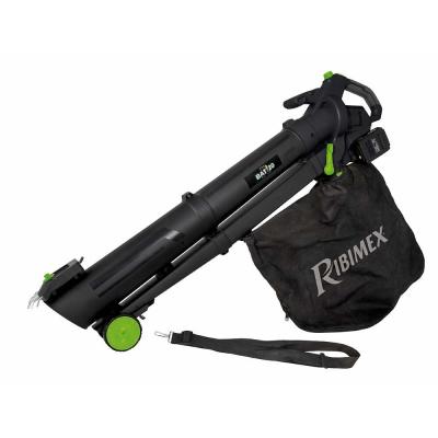 RIBIMEX Aspirateur souffleur broyeur de jardin r-bat20 2 batteries 1 chargeur, prbat20-asb1 PRBAT20/ASB1 