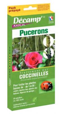 DECAMP Coccinelle septempunctata pour arbre de - de 1m50 