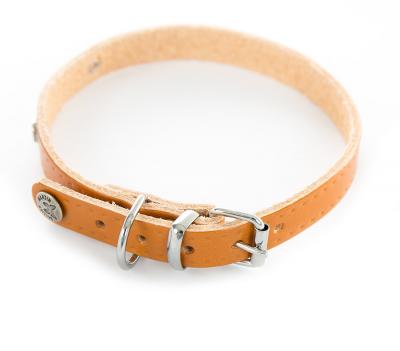 MARTIN SELLIER Collier pour chien en cuir bavette  Rive