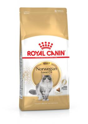 ROYALCANIN Croquettes chat NORWEGIAN ADULT NORVEGIEN A PARTIR DE 12 MOIS 400G