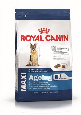ROYAL CANIN Croquette chien royalcanin maxi ageing 8+ 3kg  24540300