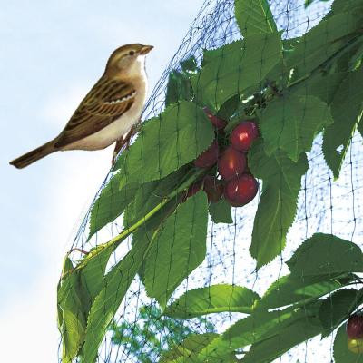 NORTENE Filet de protection oiseaux maille carr&eacute;e 2x10m