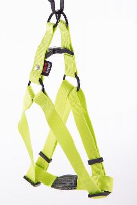 MARTIN SELLIER Harnais baudr 20-50-70 vert 