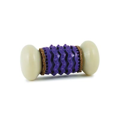 PETSAFE  Jouet os spirale et friandise Nobbly Nubbly M - Pour chien