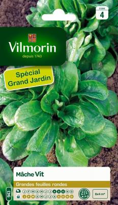 VILMORIN M&acirc;che vit gm 
