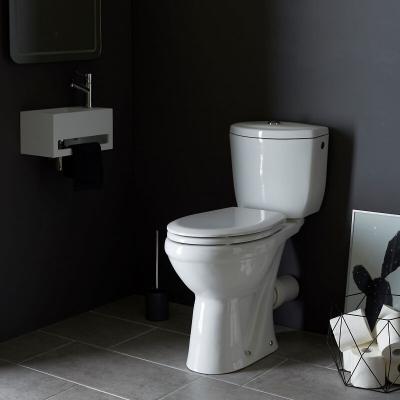 PLANETE BAIN Pack WC sur&eacute;lev&eacute; SH blanc - sortie horizontale 