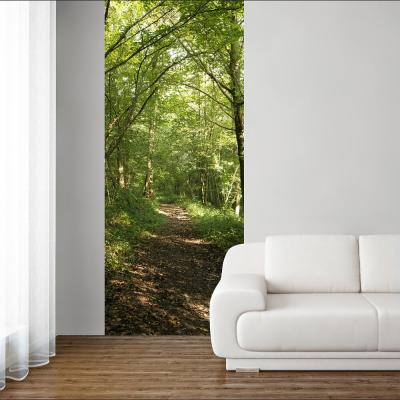 PLAGE Papier Peint Intiss&eacute; Photo Nature For&ecirc;t Chemin Promenade Panoramique pour D&eacute;coration Murale - 250 cm X 96 cm 