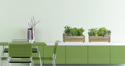 PLAGE  152728 Sticker Mural - Le Petit Potager, 1 Planche, 48 x 68 cm