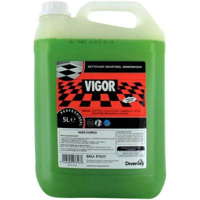 VIGOR Nettoyant bidon d&eacute;tergent  fra&icirc;cheur verte - vert - 