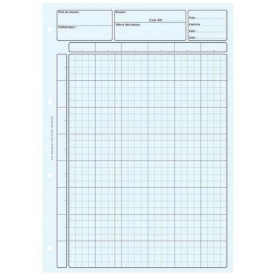 ELVE Bloc 80 feuilles de travail audit, matrice pour controle interne bleu