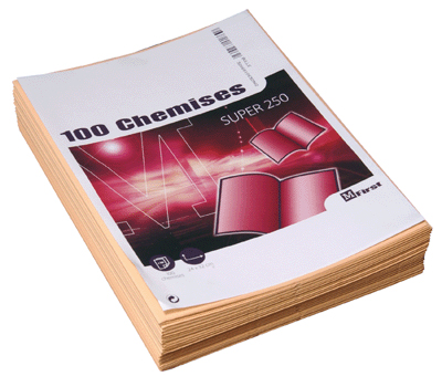 OTTO OFFICE Chemises dossiers super 250 24x32 bulle - Paquet de 100