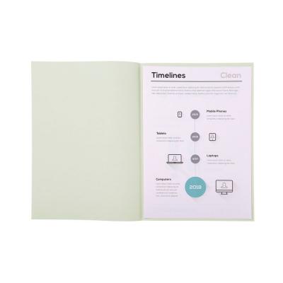 RAINEX  61 gr 250 sous-chemises 60 g 22 x 31 cm gris