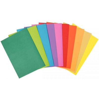 Sous-chemises Rainex 80g rock assorti - pochette de 30