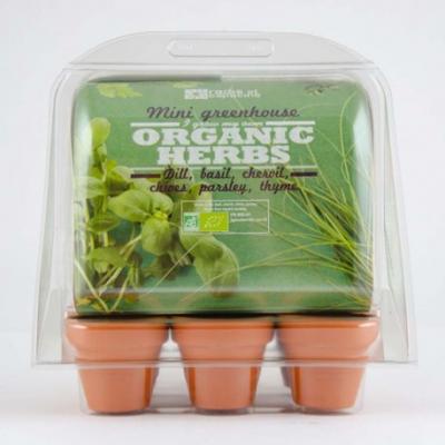 RADIS ET CAPUCINE Serre d'int&eacute;rieur avec 6 plantes aromatiques bio &agrave; semer