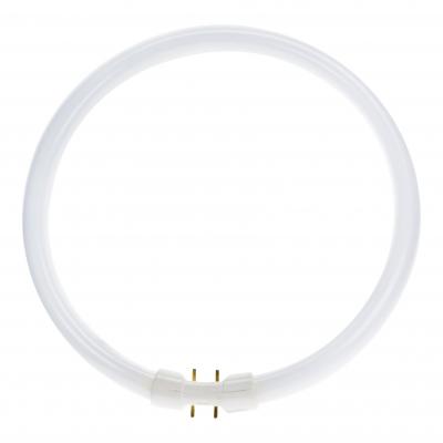LIGHTO Osram Lumilux T5 Circulaire FC 22W - 830 Blanc Chaud | 23cm