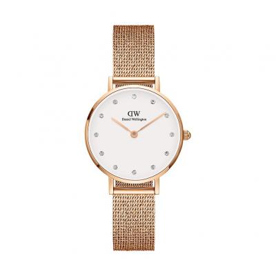 DANIEL WELLINGTON Montre-bracelet pour femme  DW00100528